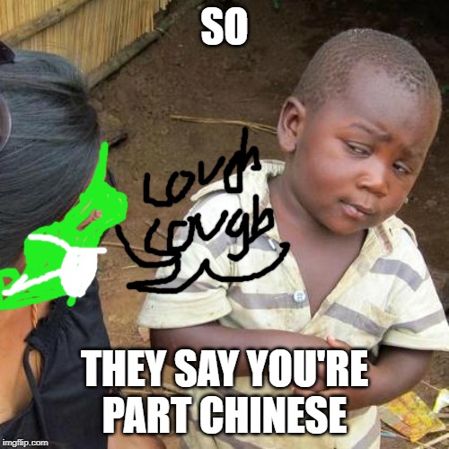 Third World Skeptical Kid Meme | SO; THEY SAY YOU'RE PART CHINESE | image tagged in memes,third world skeptical kid | made w/ Imgflip meme maker