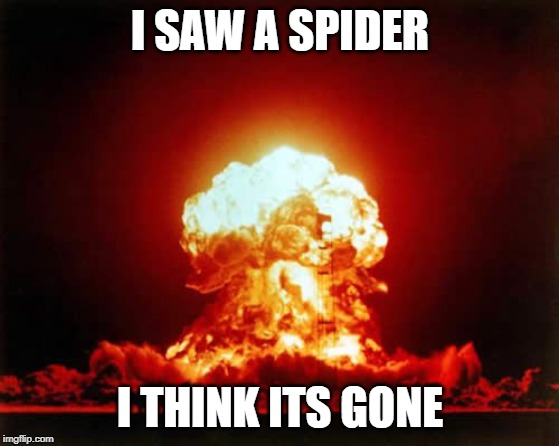 Nuclear Explosion Meme | I SAW A SPIDER; I THINK ITS GONE | image tagged in memes,nuclear explosion | made w/ Imgflip meme maker