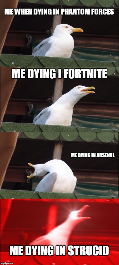 Inhaling Seagull Meme | ME WHEN DYING IN PHANTOM FORCES; ME DYING I FORTNITE; ME DYING IN ARSENAL; ME DYING IN STRUCID | image tagged in memes,inhaling seagull | made w/ Imgflip meme maker