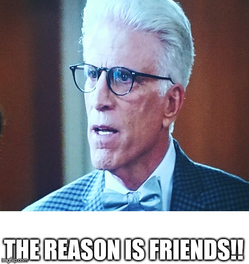 Why not? | THE REASON IS FRIENDS!! | image tagged in the good place,architect,friends | made w/ Imgflip meme maker