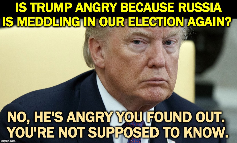 Russia helped elect him last time, and they're helping him again this time. But it's supposed to be a secret. | IS TRUMP ANGRY BECAUSE RUSSIA IS MEDDLING IN OUR ELECTION AGAIN? NO, HE'S ANGRY YOU FOUND OUT. 
YOU'RE NOT SUPPOSED TO KNOW. | image tagged in trump angry and dilated at the same time,trump,russia,putin,election 2020 | made w/ Imgflip meme maker