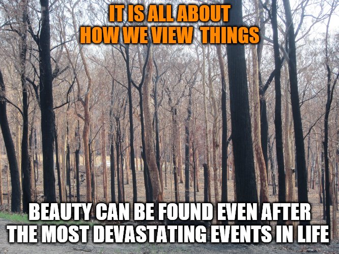 IT IS ALL ABOUT HOW WE VIEW  THINGS; BEAUTY CAN BE FOUND EVEN AFTER THE MOST DEVASTATING EVENTS IN LIFE | image tagged in positive thinking,beautiful mind beautiful soul | made w/ Imgflip meme maker