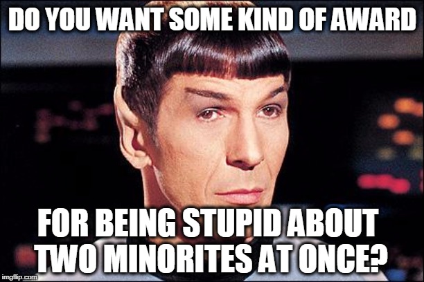 Condescending Spock | DO YOU WANT SOME KIND OF AWARD FOR BEING STUPID ABOUT 
TWO MINORITES AT ONCE? | image tagged in condescending spock | made w/ Imgflip meme maker