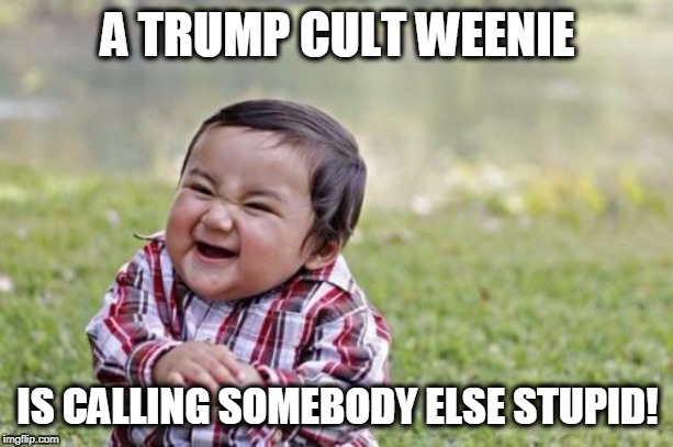 Evil Toddler Meme | A TRUMP CULT WEENIE IS CALLING SOMEBODY ELSE STUPID! | image tagged in memes,evil toddler | made w/ Imgflip meme maker
