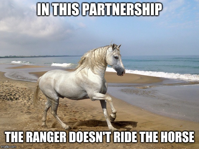 white horse beach | IN THIS PARTNERSHIP THE RANGER DOESN'T RIDE THE HORSE | image tagged in white horse beach | made w/ Imgflip meme maker