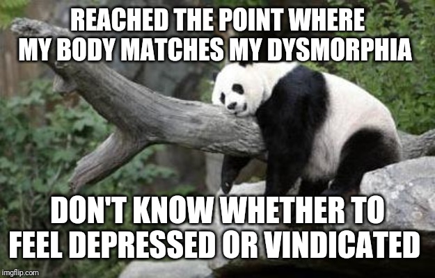 lazy panda | REACHED THE POINT WHERE MY BODY MATCHES MY DYSMORPHIA; DON'T KNOW WHETHER TO FEEL DEPRESSED OR VINDICATED | image tagged in lazy panda | made w/ Imgflip meme maker