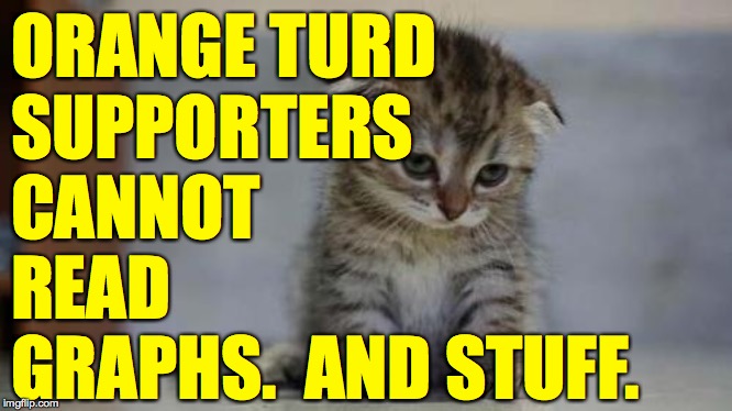 Sad kitten | ORANGE TURD
SUPPORTERS
CANNOT
READ
GRAPHS.  AND STUFF. | image tagged in sad kitten | made w/ Imgflip meme maker