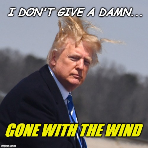 gone with the wind | I DON'T GIVE A DAMN... GONE WITH THE WIND | image tagged in donald trump,hair,gone with the wind | made w/ Imgflip meme maker
