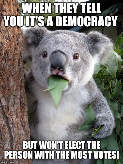 Surprised Koala | WHEN THEY TELL YOU IT'S A DEMOCRACY; BUT WON'T ELECT THE PERSON WITH THE MOST VOTES! | image tagged in memes,surprised koala | made w/ Imgflip meme maker