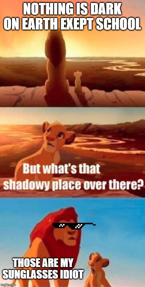 Simba Shadowy Place | NOTHING IS DARK ON EARTH EXEPT SCHOOL; THOSE ARE MY SUNGLASSES IDIOT | image tagged in memes,simba shadowy place | made w/ Imgflip meme maker
