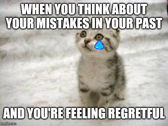 Sad Cat | WHEN YOU THINK ABOUT YOUR MISTAKES IN YOUR PAST; AND YOU'RE FEELING REGRETFUL | image tagged in memes,sad cat | made w/ Imgflip meme maker