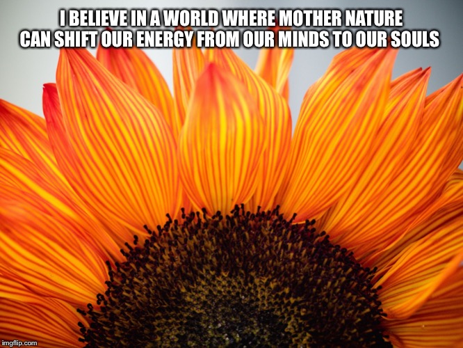 gratitude | I BELIEVE IN A WORLD WHERE MOTHER NATURE CAN SHIFT OUR ENERGY FROM OUR MINDS TO OUR SOULS | image tagged in gratitude | made w/ Imgflip meme maker