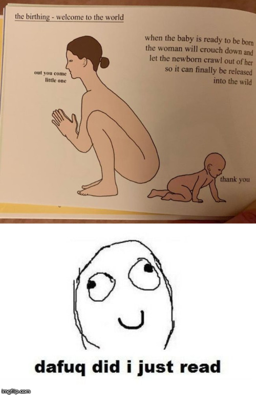 image tagged in memes,dafuq did i just read,birth,baby | made w/ Imgflip meme maker