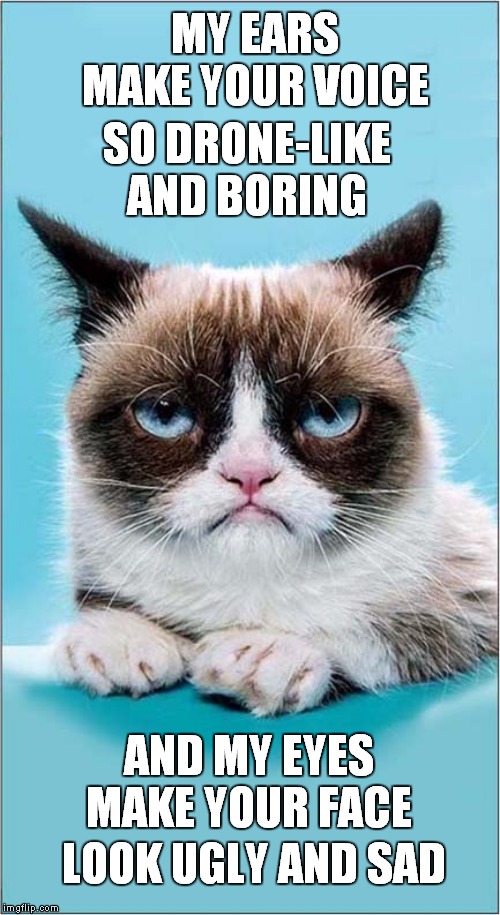 Grumpy Destroys Your Self Esteem | MY EARS MAKE YOUR VOICE; SO DRONE-LIKE AND BORING; AND MY EYES MAKE YOUR FACE; LOOK UGLY AND SAD | image tagged in fun,grumpy cat,self esteem | made w/ Imgflip meme maker