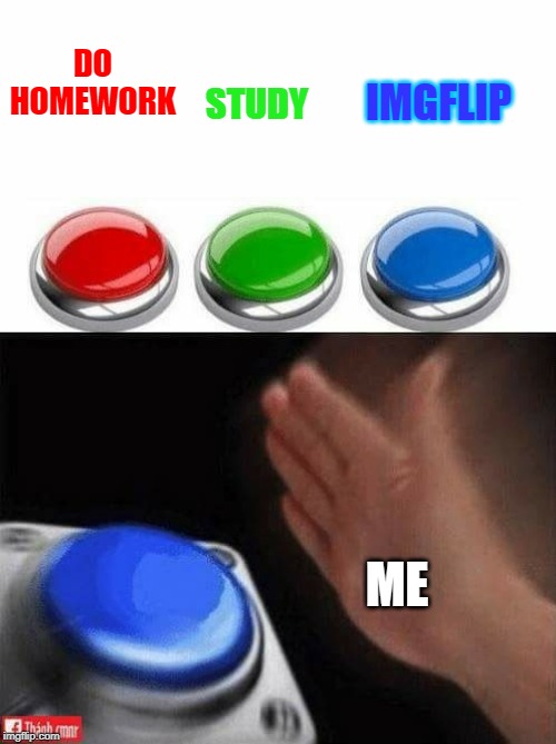 Three Buttons | IMGFLIP; STUDY; DO HOMEWORK; ME | image tagged in three buttons,hehehe,homework,studying,imgflip | made w/ Imgflip meme maker