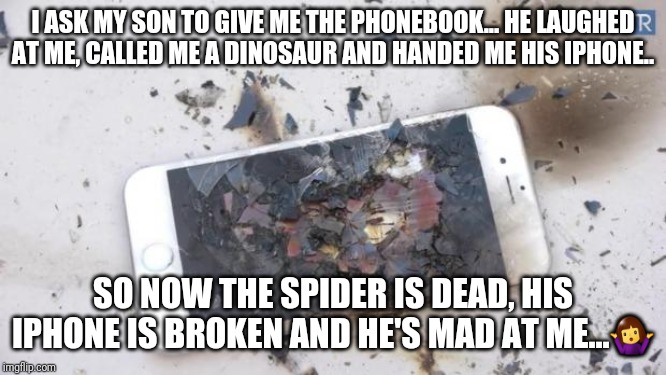 Broken iPhone | I ASK MY SON TO GIVE ME THE PHONEBOOK... HE LAUGHED AT ME, CALLED ME A DINOSAUR AND HANDED ME HIS IPHONE.. SO NOW THE SPIDER IS DEAD, HIS IPHONE IS BROKEN AND HE'S MAD AT ME...🤷‍♀️ | image tagged in broken iphone | made w/ Imgflip meme maker