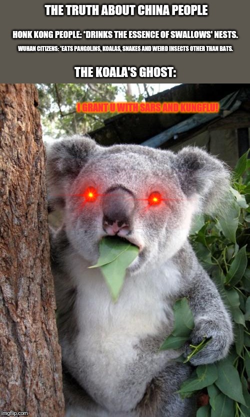 Surprised Koala | THE TRUTH ABOUT CHINA PEOPLE; HONK KONG PEOPLE: *DRINKS THE ESSENCE OF SWALLOWS' NESTS. WUHAN CITIZENS: *EATS PANGOLINS, KOALAS, SNAKES AND WEIRD INSECTS OTHER THAN BATS. THE KOALA'S GHOST:; I GRANT U WITH SARS AND KUNGFLU! | image tagged in memes,surprised koala | made w/ Imgflip meme maker