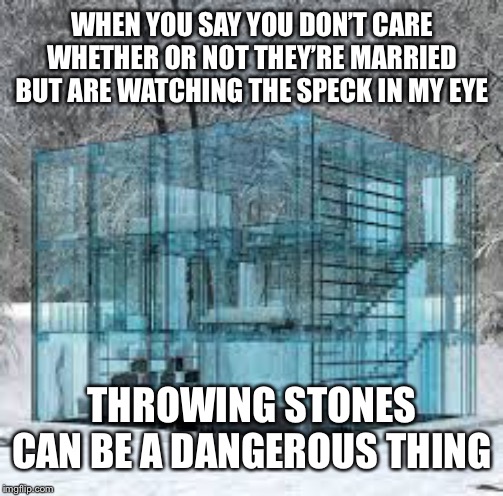 Glass House | WHEN YOU SAY YOU DON’T CARE WHETHER OR NOT THEY’RE MARRIED BUT ARE WATCHING THE SPECK IN MY EYE; THROWING STONES CAN BE A DANGEROUS THING | image tagged in glass house | made w/ Imgflip meme maker