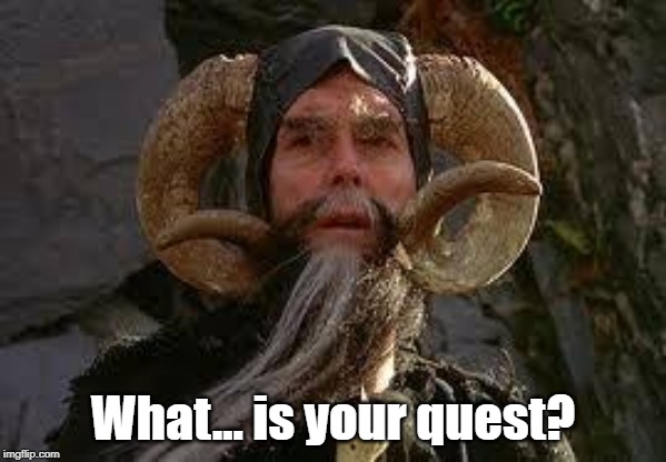 What... is your quest? | image tagged in funny memes,quest | made w/ Imgflip meme maker