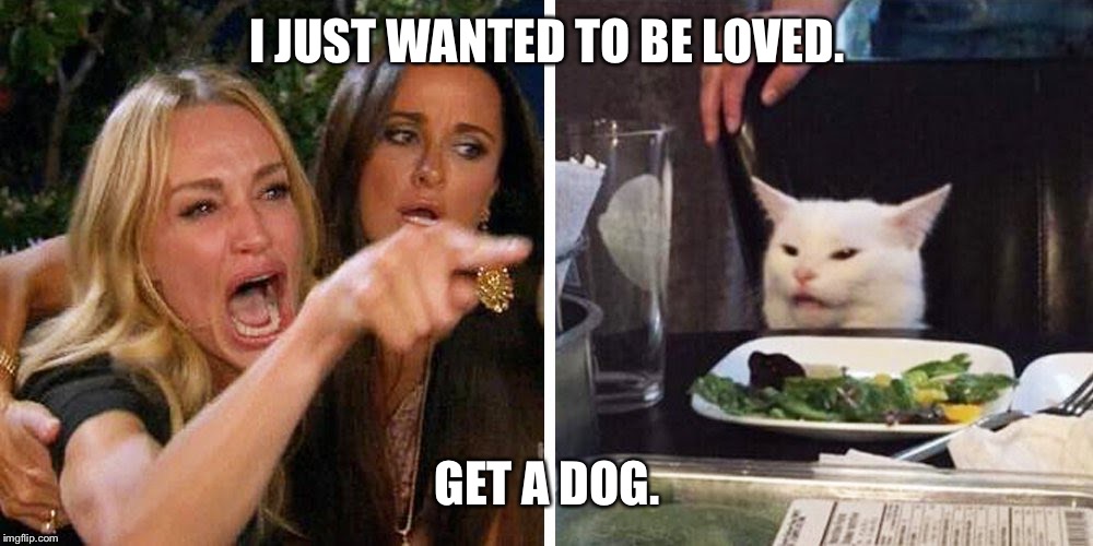 Smudge the cat | I JUST WANTED TO BE LOVED. GET A DOG. | image tagged in smudge the cat | made w/ Imgflip meme maker