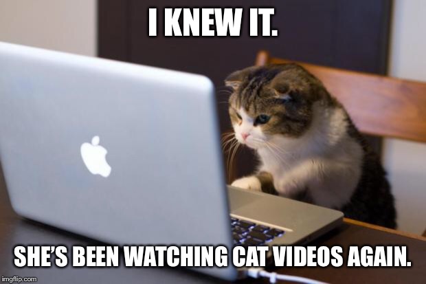 Cat using computer | I KNEW IT. SHE’S BEEN WATCHING CAT VIDEOS AGAIN. | image tagged in cat using computer | made w/ Imgflip meme maker