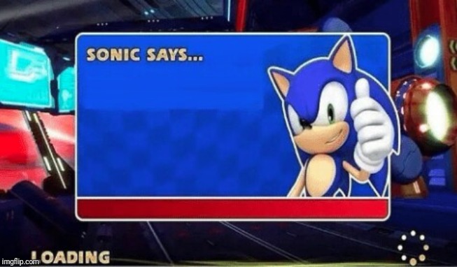Sonic Says | image tagged in sonic says | made w/ Imgflip meme maker