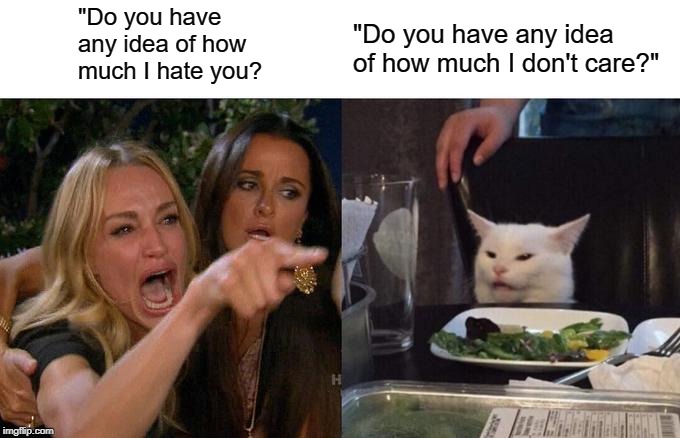 Woman Yelling At Cat Meme |  "Do you have any idea of how much I hate you? "Do you have any idea of how much I don't care?" | image tagged in memes,woman yelling at cat | made w/ Imgflip meme maker