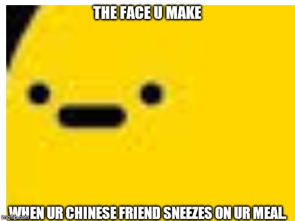 THE FACE U MAKE; WHEN UR CHINESE FRIEND SNEEZES ON UR MEAL. | made w/ Imgflip meme maker