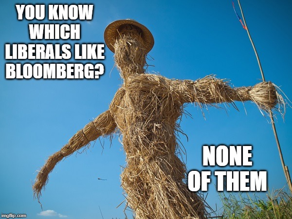Bloomberg Liberals | YOU KNOW WHICH LIBERALS LIKE BLOOMBERG? NONE OF THEM | image tagged in strawman | made w/ Imgflip meme maker