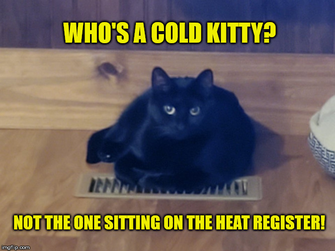 ColdKitty | WHO'S A COLD KITTY? NOT THE ONE SITTING ON THE HEAT REGISTER! | image tagged in coldkitty | made w/ Imgflip meme maker