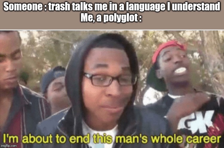Fellow ployglots, rise! | Someone : trash talks me in a language I understand
Me, a polyglot : | image tagged in im about to ruin this mans whole career,ployglot,language,trash talk | made w/ Imgflip meme maker