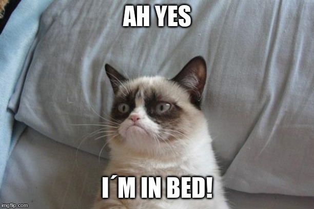 AH YES I´M IN BED! | image tagged in memes,grumpy cat bed,grumpy cat | made w/ Imgflip meme maker