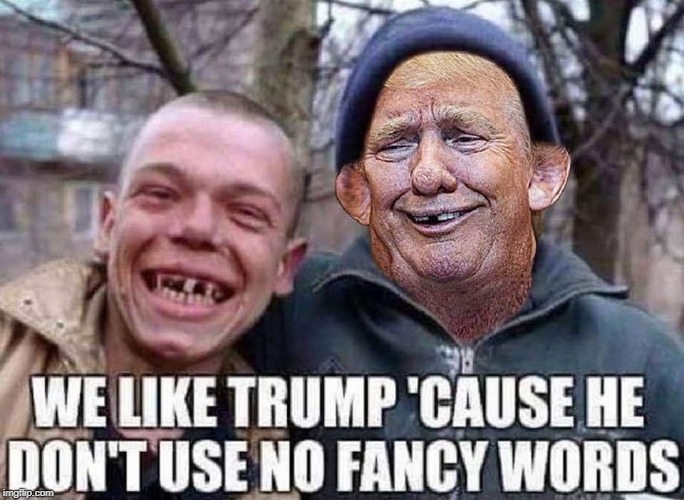 Toothless Trumpy | image tagged in toothless trumpy | made w/ Imgflip meme maker