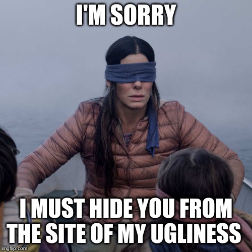 Bird Box Meme | I'M SORRY; I MUST HIDE YOU FROM THE SITE OF MY UGLINESS | image tagged in memes,bird box | made w/ Imgflip meme maker