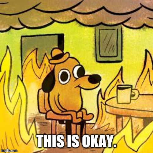 Dog in burning house | THIS IS OKAY. | image tagged in dog in burning house | made w/ Imgflip meme maker