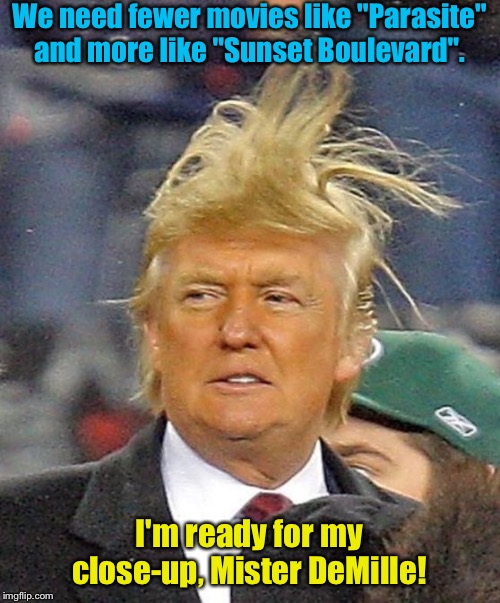 Film Critic | We need fewer movies like "Parasite"

and more like "Sunset Boulevard". I'm ready for my close-up, Mister DeMille! | image tagged in donald trumph hair | made w/ Imgflip meme maker