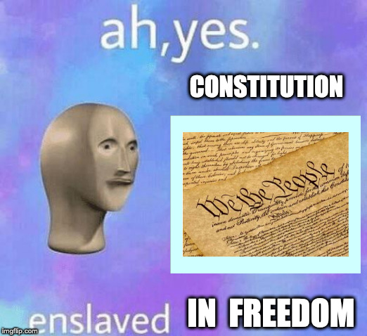Constitution | CONSTITUTION; IN  FREEDOM | image tagged in ah yes enslaved,constitution,freedom,2nd amendment,1st amendment,free speech | made w/ Imgflip meme maker