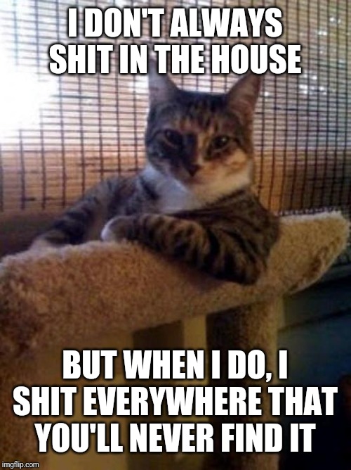 Most interesting cat in the world | I DON'T ALWAYS SHIT IN THE HOUSE; BUT WHEN I DO, I SHIT EVERYWHERE THAT YOU'LL NEVER FIND IT | image tagged in most interesting cat in the world | made w/ Imgflip meme maker