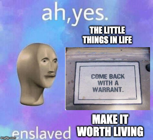 Funny | THE LITTLE THINGS IN LIFE; MAKE IT WORTH LIVING | image tagged in ah yes enslaved,funny,funny meme,lol so funny,life lessons | made w/ Imgflip meme maker