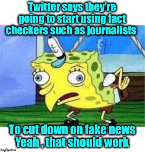 Mocking Spongebob Meme | Twitter says they’re going to start using fact checkers such as journalists; To cut down on fake news
Yeah , that should work | image tagged in memes,mocking spongebob | made w/ Imgflip meme maker