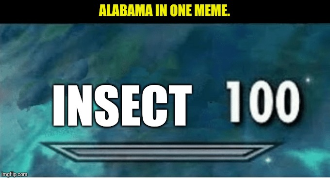 Skyrim 100 Blank | ALABAMA IN ONE MEME. INSECT | image tagged in skyrim 100 blank | made w/ Imgflip meme maker