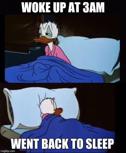 Donald duck | WOKE UP AT 3AM; WENT BACK TO SLEEP | image tagged in donald duck | made w/ Imgflip meme maker