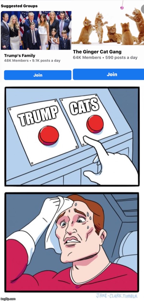 TRUMP; CATS | image tagged in memes,two buttons | made w/ Imgflip meme maker