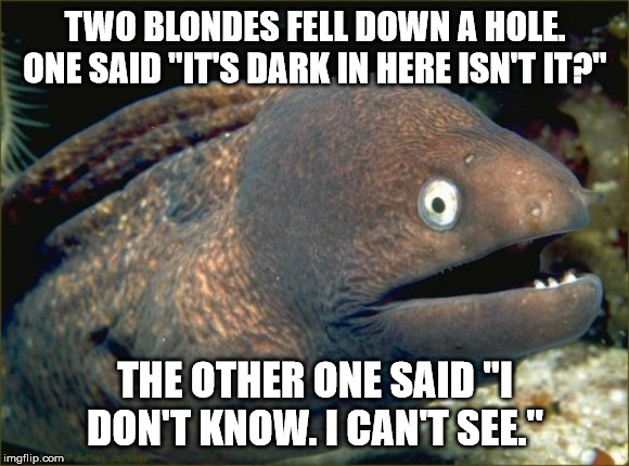 I guess they are darkness are not old friends? | TWO BLONDES FELL DOWN A HOLE. ONE SAID "IT'S DARK IN HERE ISN'T IT?"; THE OTHER ONE SAID "I DON'T KNOW. I CAN'T SEE." | image tagged in memes,bad joke eel,jokes,dumb blonde,blondes | made w/ Imgflip meme maker