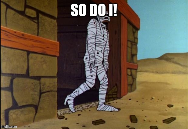 Jonny Quest Mummy | SO DO I! | image tagged in jonny quest mummy | made w/ Imgflip meme maker