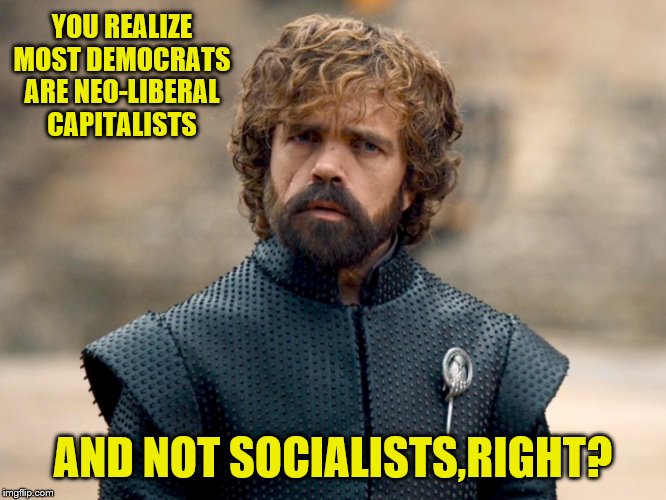 YOU REALIZE MOST DEMOCRATS ARE NEO-LIBERAL CAPITALISTS AND NOT SOCIALISTS,RIGHT? | made w/ Imgflip meme maker