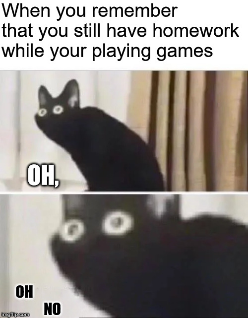 Oh No Black Cat | When you remember that you still have homework while your playing games; OH, OH                         NO | image tagged in oh no black cat | made w/ Imgflip meme maker