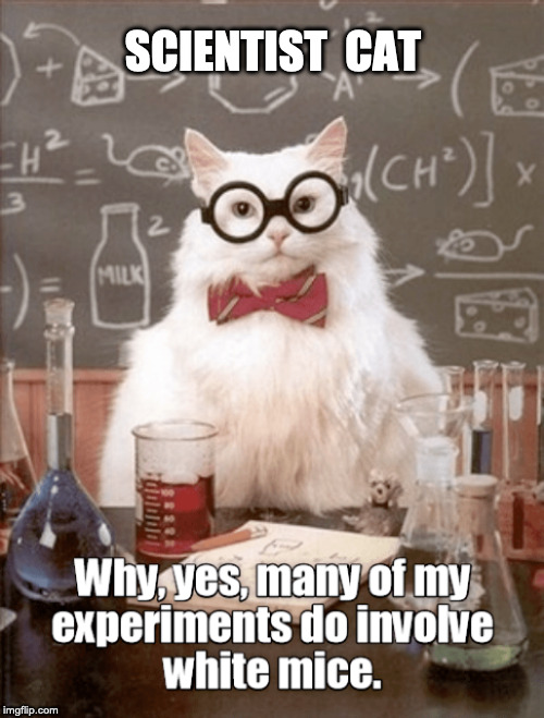 Scientist Cat | SCIENTIST  CAT | image tagged in cat,cute cat,funny cats,funny cat memes,funny meme | made w/ Imgflip meme maker