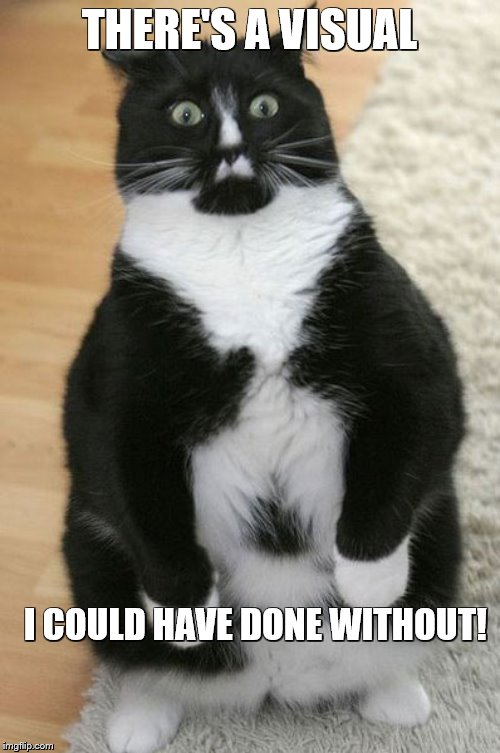 Cat Shocked | THERE'S A VISUAL I COULD HAVE DONE WITHOUT! | image tagged in cat shocked | made w/ Imgflip meme maker