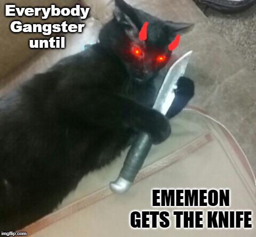 My goals are beyond your understanding... | image tagged in cats,ememeon,knife,and everybody loses their minds,gangsters | made w/ Imgflip meme maker